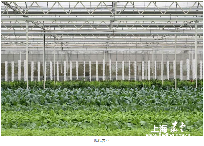 42ecd70f748c4e3da21fc85f5beea56b.png 42ecd70f748c4e3da21fc85f5beea56b.png