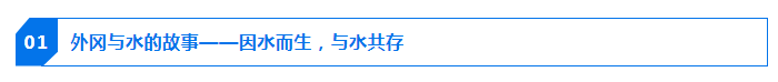 5f6d4c56bb504cd6bfc35466987404b4.png