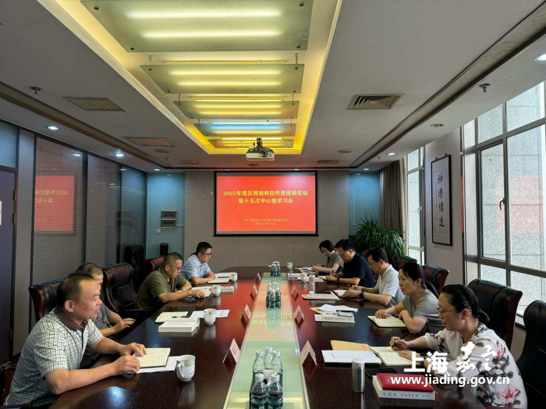 区规划资源局党组召开2025年度第十五次中心组学习会，专题学习领会习近平总书记关于总体国家安全观的重要论述