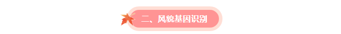ed5f4662c3d1423988b6b70106d3cb63.png